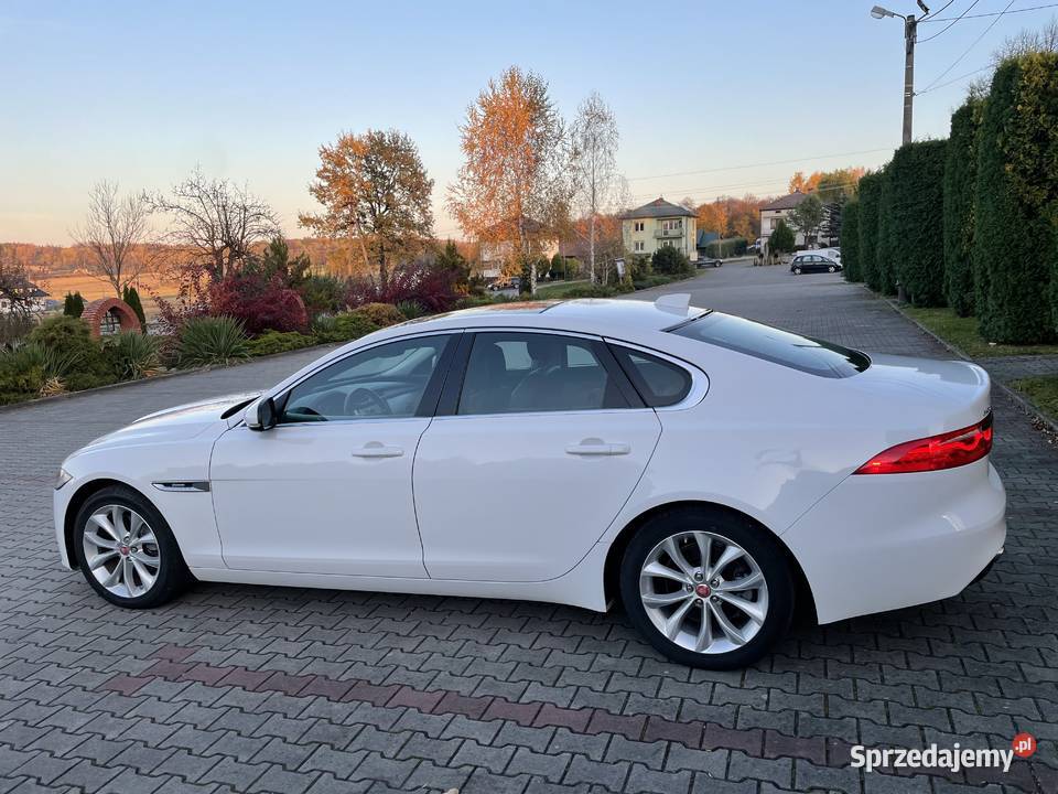 Jaguar XF 20 Benzyna 247hp 25t Premium AWD 2019 wielofunkcyjna kierownica podkarpackie Osobnica