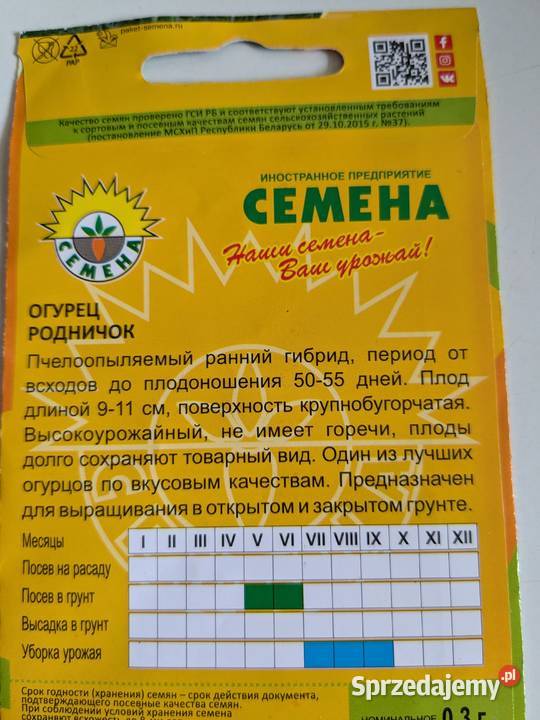 Podniczok PalczikRoznasol Zasolacznyj rosyjskie Kraków sprzedam