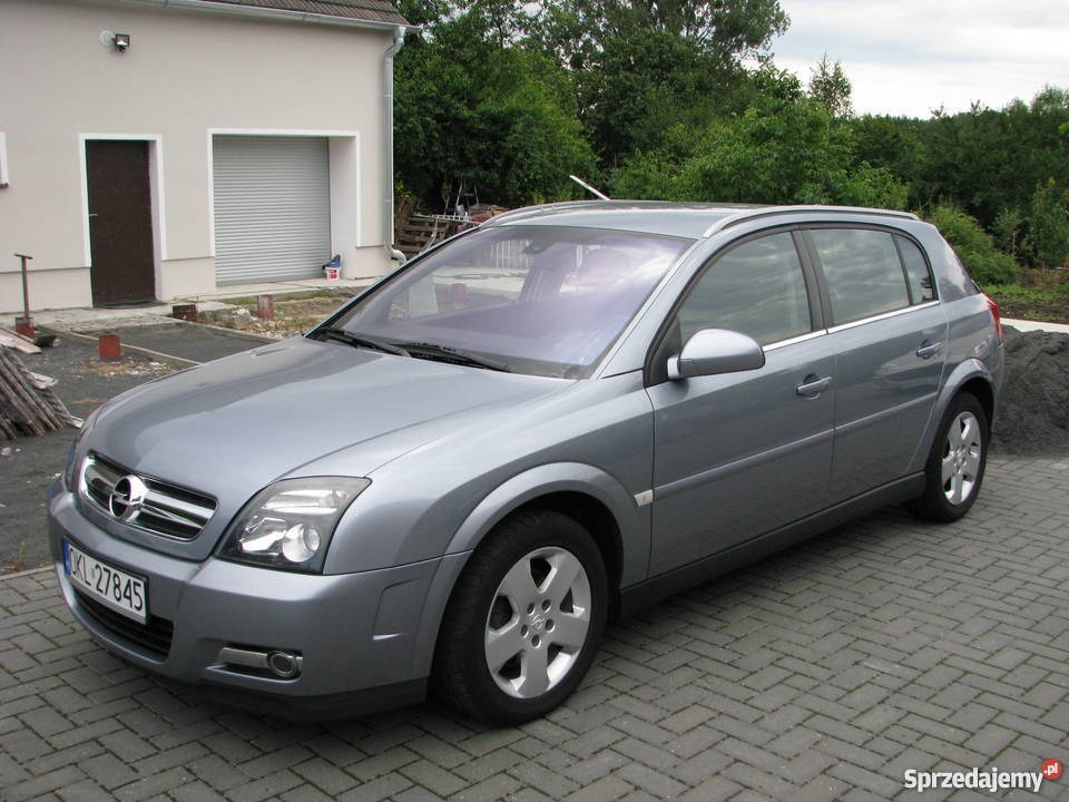 Opel Signum 19 CDTI Elegance opolskie Wołczyn