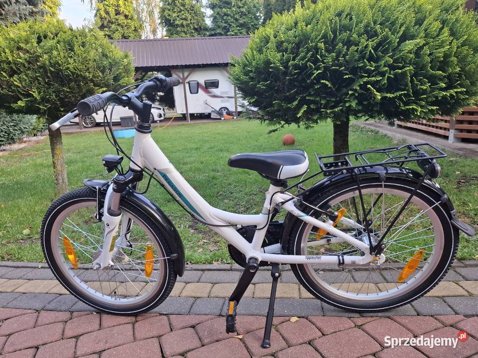 Rower dzieciecy Pegasus