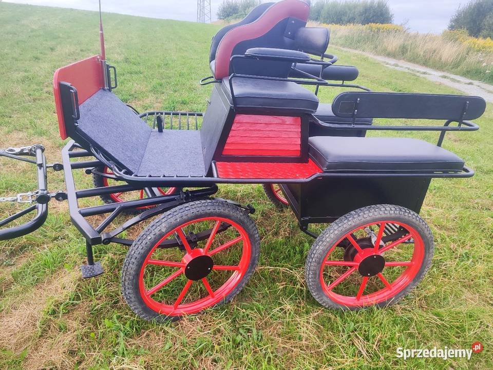 Sprzedam Bryczke wagonetke Zwierzęta Łęka