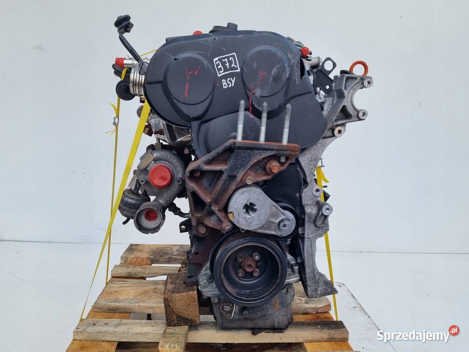 SILNIK KOMPLET Mitsubishi Grandis 20 DID TDI 146 osobowe Rudka