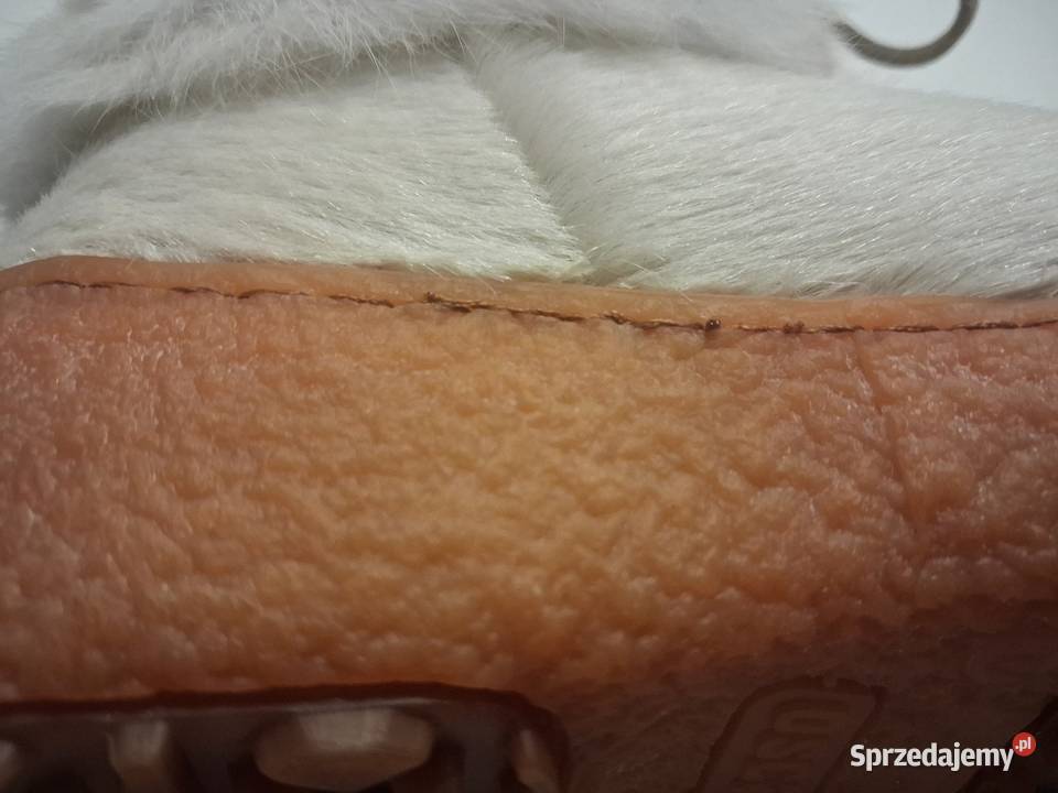 Oscar Nowe buty damskie kozaki rozmiar 38 24cm Obuwie dolnośląskie Wrocław