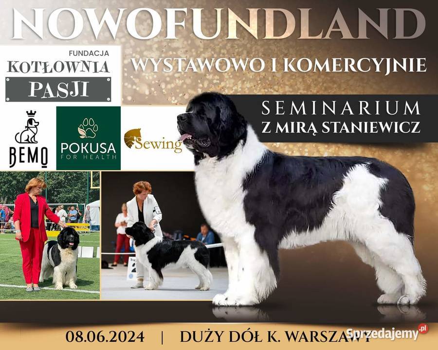Seminarium groomerów NOWOFUNDLAND Duży Dół