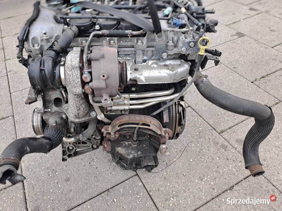 Chevrolet Cruze Captiva 20 VCDi 163 silnik Silniki kompletne Jastrzębie-Zdrój
