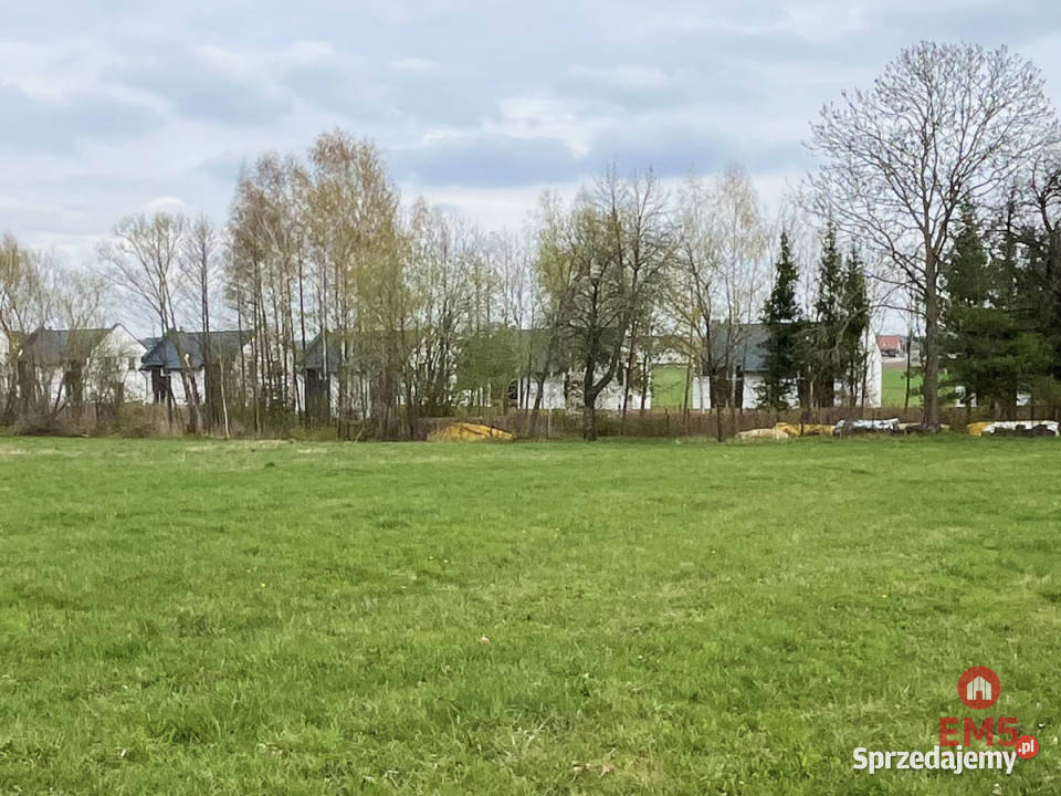 Działka Nowe Aleksandrowo 13000m2 360m sprzedam