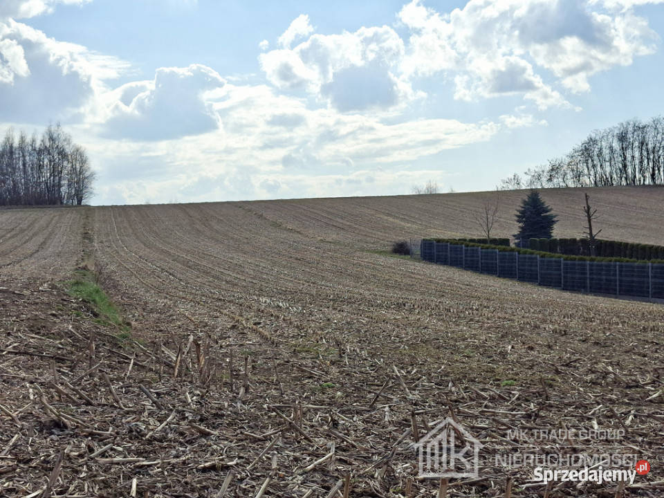 Bodzanów ok Wieliczki działka bud 25a MN 56a R małopolskie sprzedam