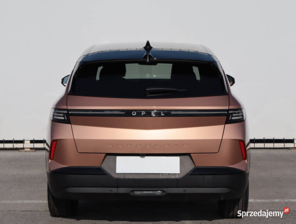 Opel Grandland 12 Turbo Rok produkcji 2025 Lublin