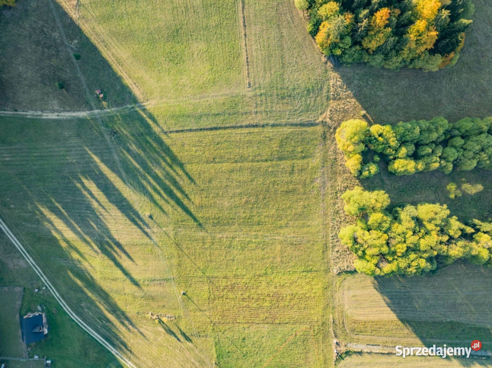 Działka budowlana Łapsze Niżne 2000m2 budowlana