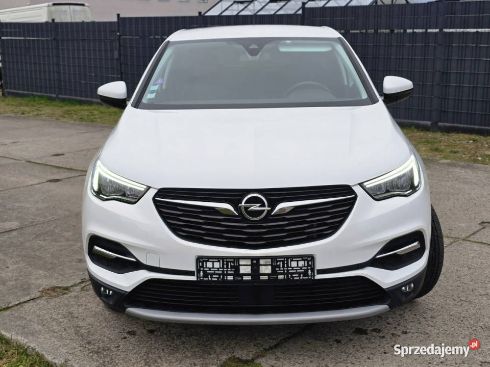 Opel Grandland X Białogard