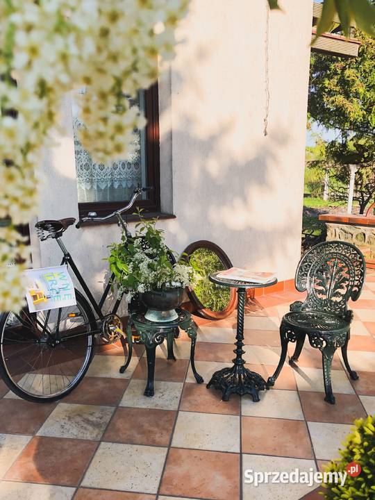 stolik kawowy żeliwny kwietnik dekoracja Gołdap sprzedam