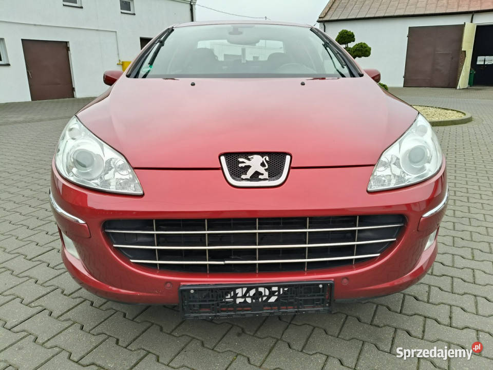 Peugeot 407 20 Benzyna elektrochrom. lusterka boczne Samochody osobowe Kutno sprzedam