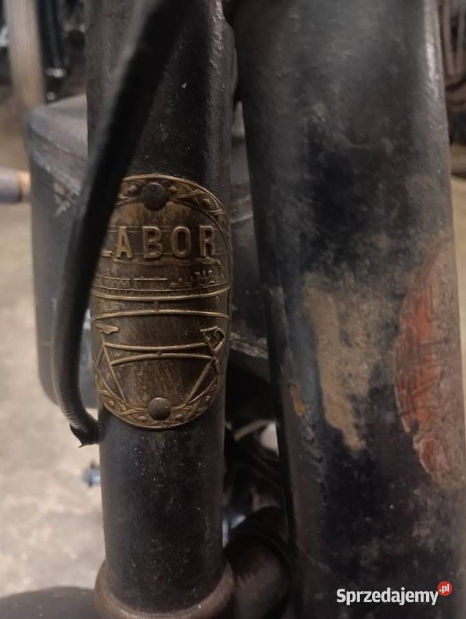 Labor sport Gostycyn