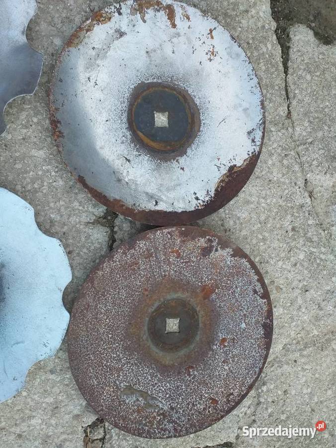 Talerz talerze do talerzówki 460 gładkie Masłów Drugi