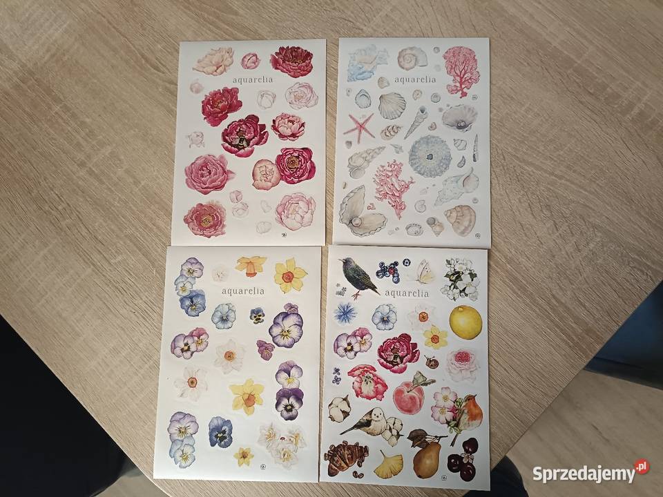 Zestaw naklejek motyw kwiatów morza Kwidzyn