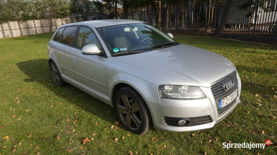 Audi A3 Sportback super stan Gwarancja 8P Hatchback Zielona Góra