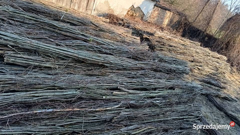 Kołki słupki ogrodzeniowe sosnadąb Grębków