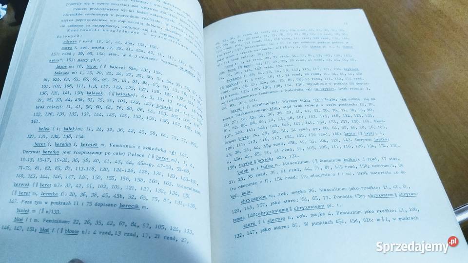 Wariancja rodzaju gramatycznego rzeczowników Gdańsk