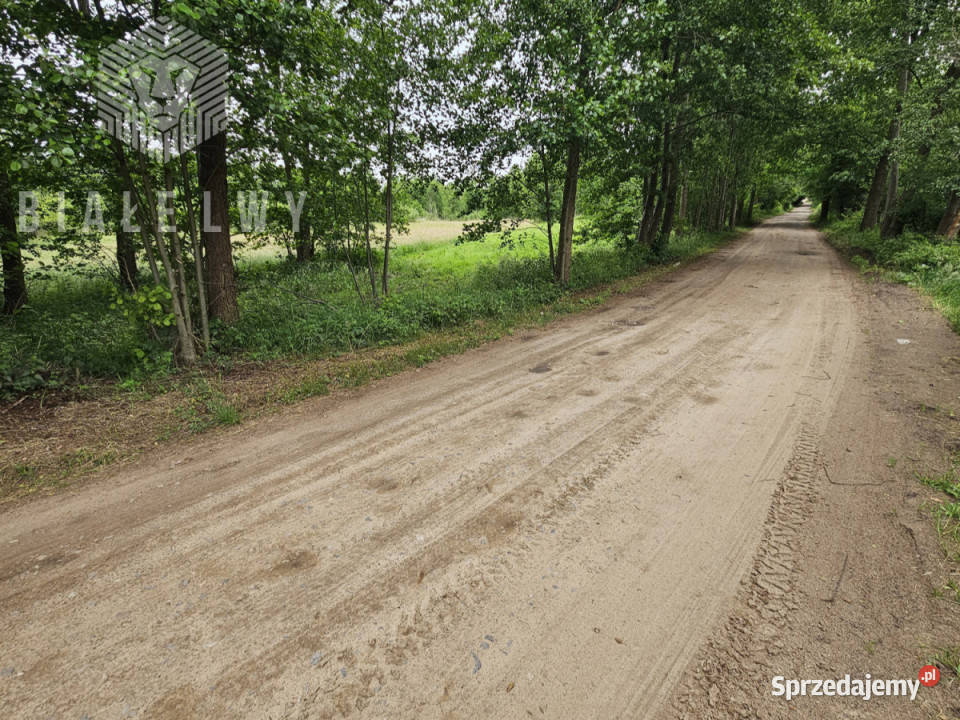 Sprzedaż działki 4158m2 Gorzewo