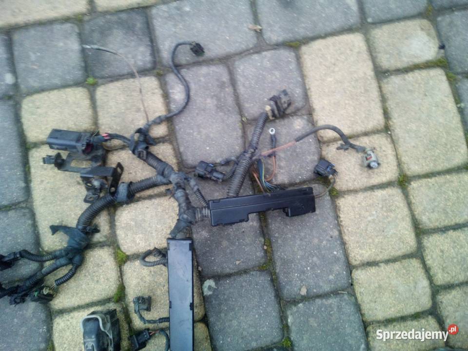 Opel Vectra c wiązka silnika wtryskiwaczy18b Hrubieszów