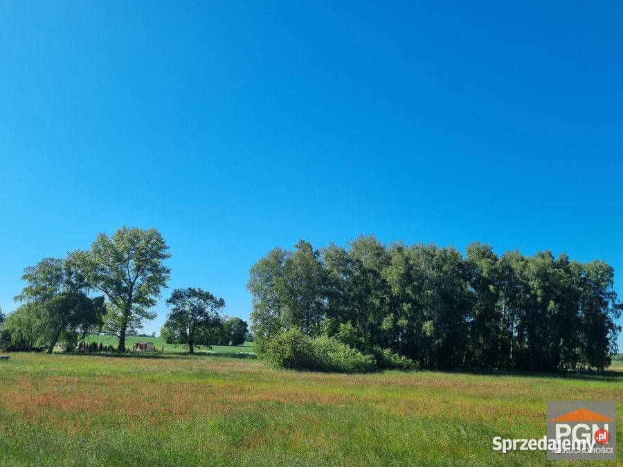 Działka Strzeżewo 14112m2