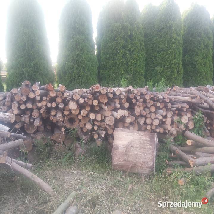 Sprzedam drewno kominkowoopałowe Lesznowola sprzedam