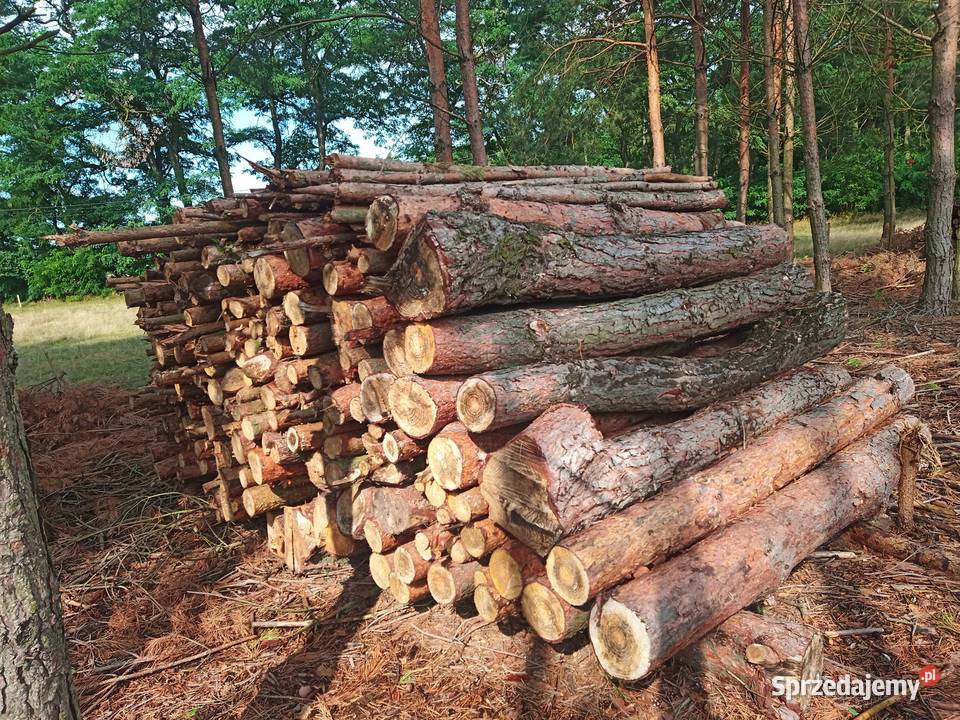 Brzoza sosna akacja wałki drewno suche m3 mazowieckie Wągrodno