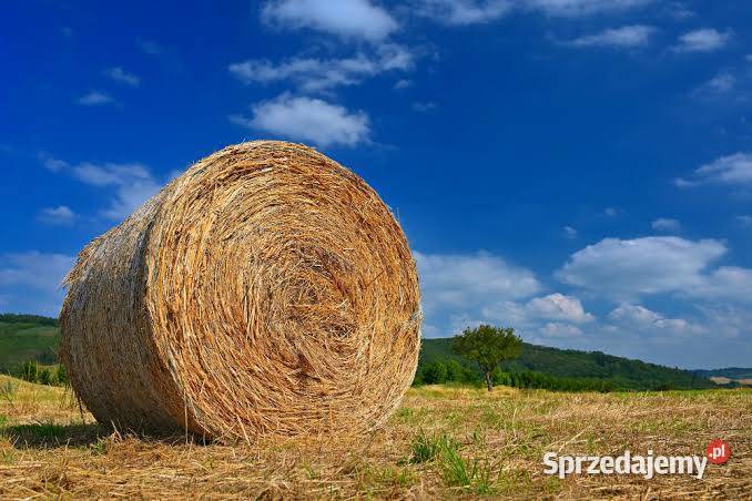 Sprzedam słomę Rawa Mazowiecka