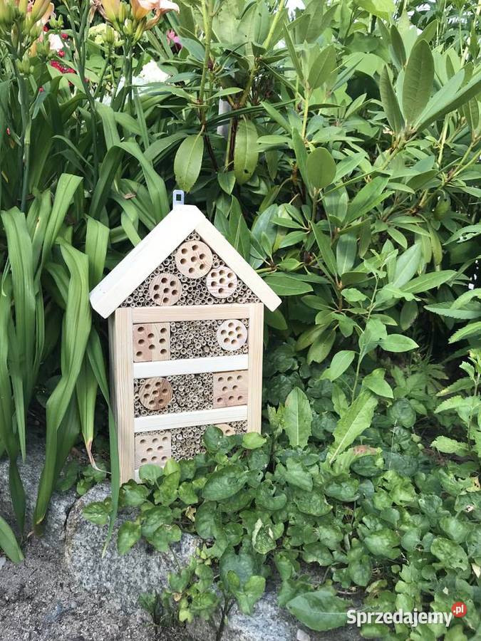 domek owadów pszczoły murarki Sławno