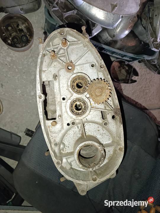 Kartery panonia świętokrzyskie Kielce