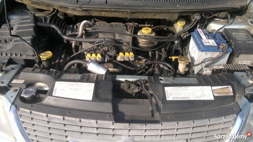 Komfortowy Amerykański Van immobilizer Kutno