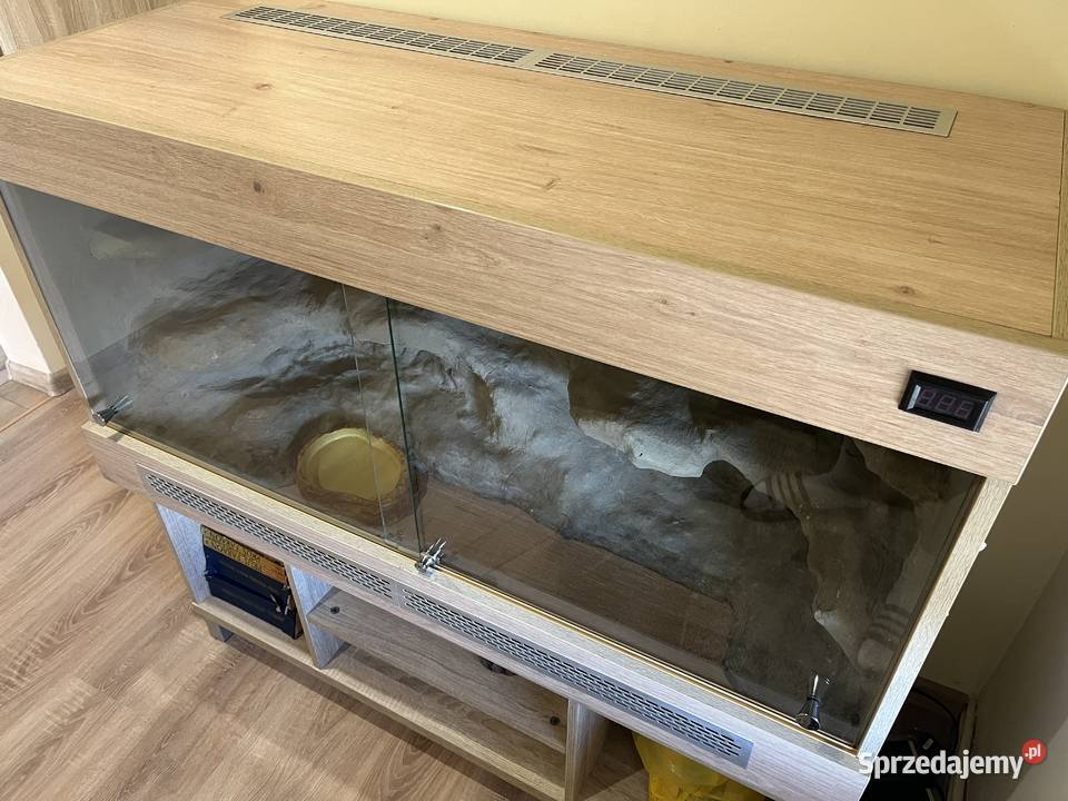 Boa Dusiciel terrarium Boa Constrictor Imperator wielkopolskie