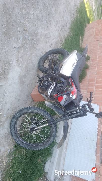 Diabolini 250 agb 38 podkarpackie