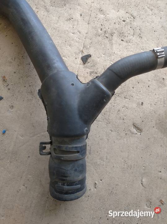 Przewód wody Scenic 1Fl 19 dci dolnośląskie