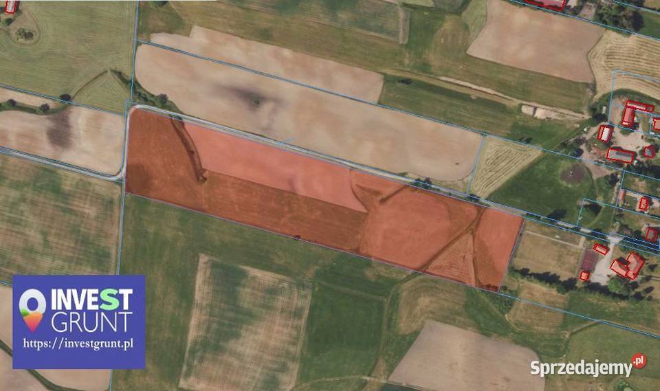 1862 ha grunty rolne przetarg na dzierżawę Netta Pierwsza