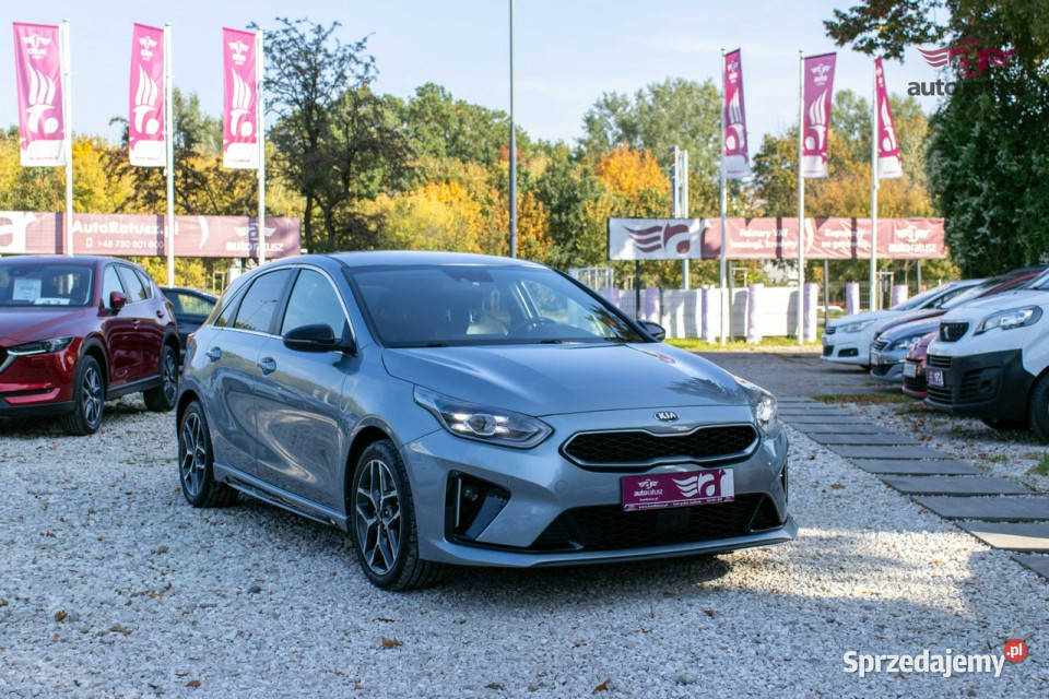 Kia Nowy Ceed GT LineBogate Wyposażenie Faktura szary Warszawa