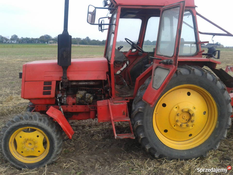 sprzedam ltz 55 Kowal sprzedam