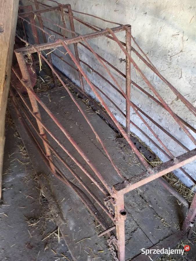 Kojec porodowy Rusociny