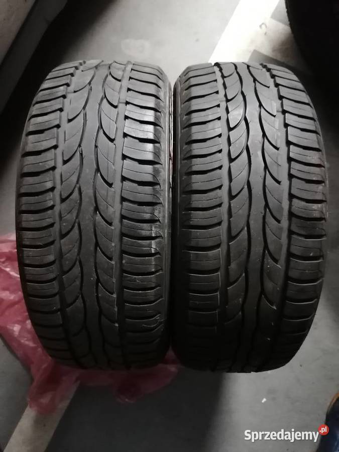 Opony letnie Dębica presto HP dot 4421 bierznik mazowieckie