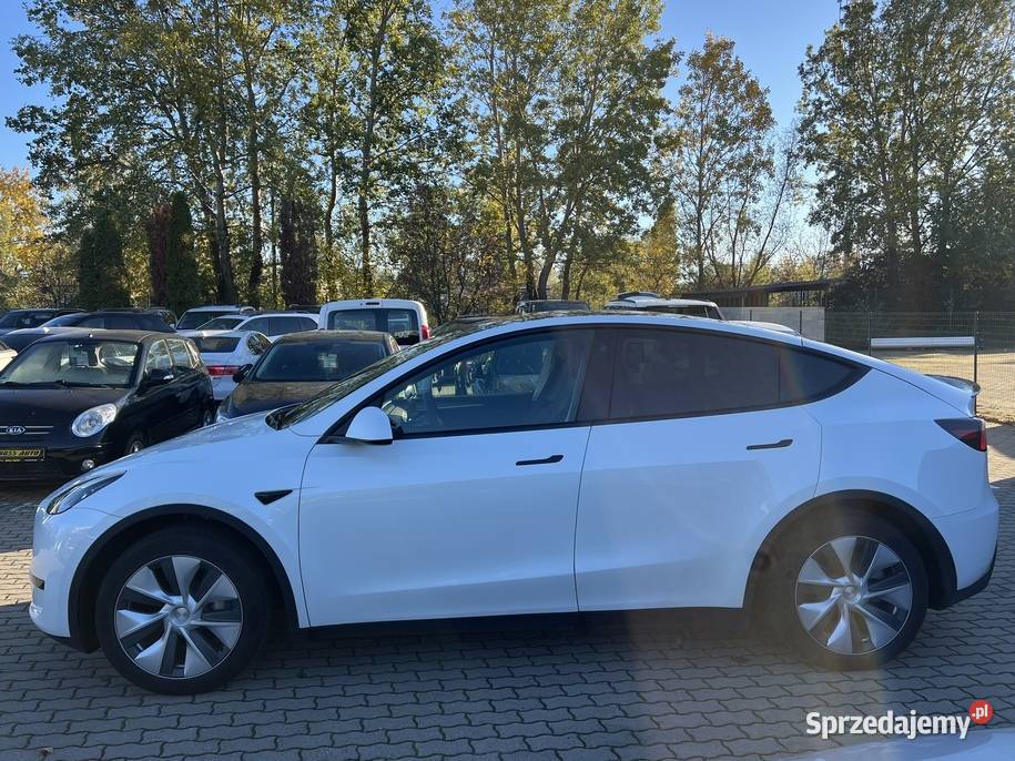 Tesla Model Y 2024 nieuszkodzony Warszawa