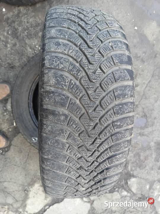 2x 1956016 falken eurowinter