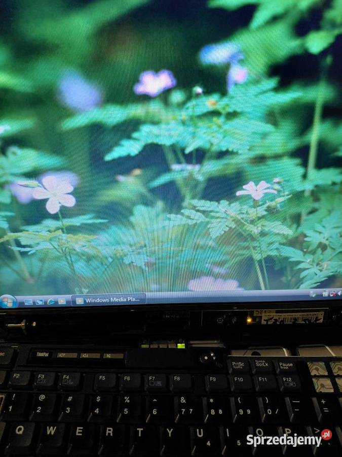 Laptop części Ibm thinkpad T30 2 IBM/Lenovo Grodzisk sprzedam