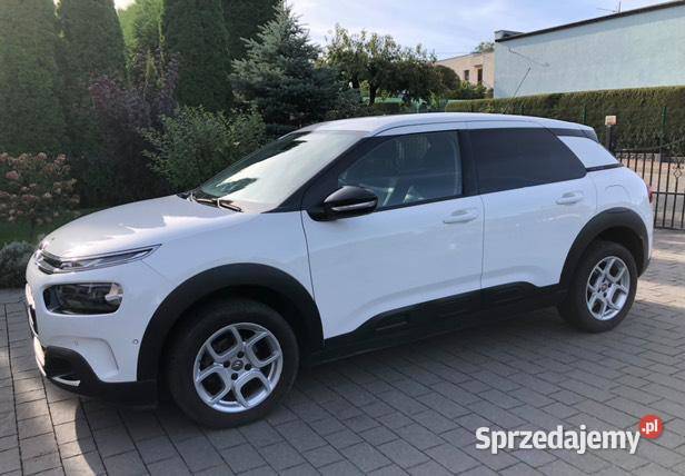 Citroen C4 cactus Psie Głowy