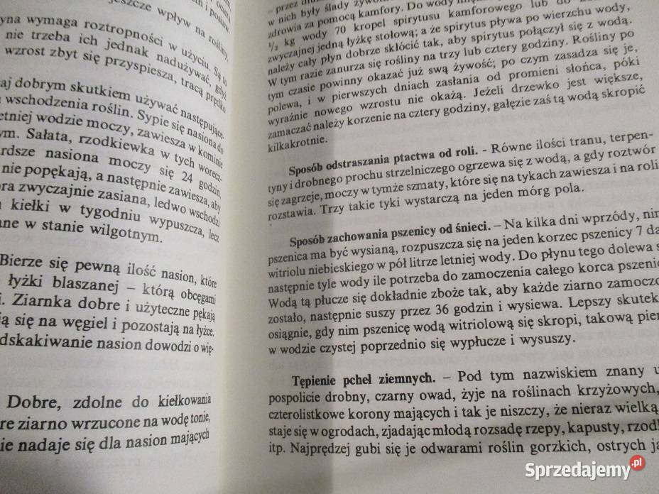 Złota encyklopedia naszej babci przewodnik Poradniki, albumy i reportaże Łódź sprzedam
