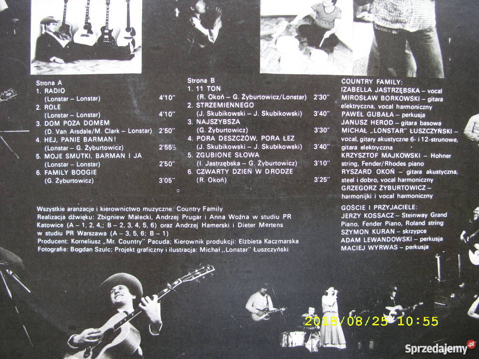 COUNTRY FAMILY11 ton LP winylowa country dolnośląskie Wołów sprzedam