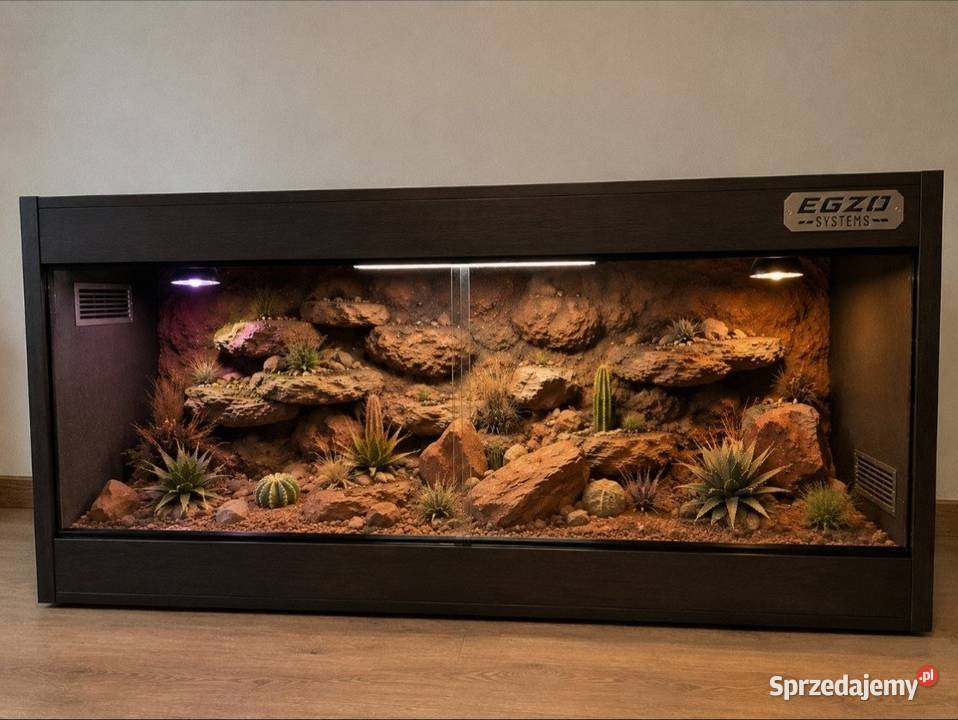 Terrarium specjalistyczne gekona lamparciego Jarosław