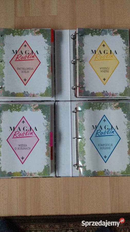 Magia Roślin wiedza o kwiatach i roślinach śląskie Chorzów