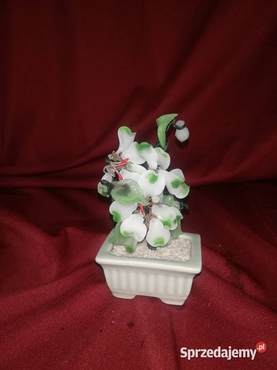 drzewko szczęścia Chorzew