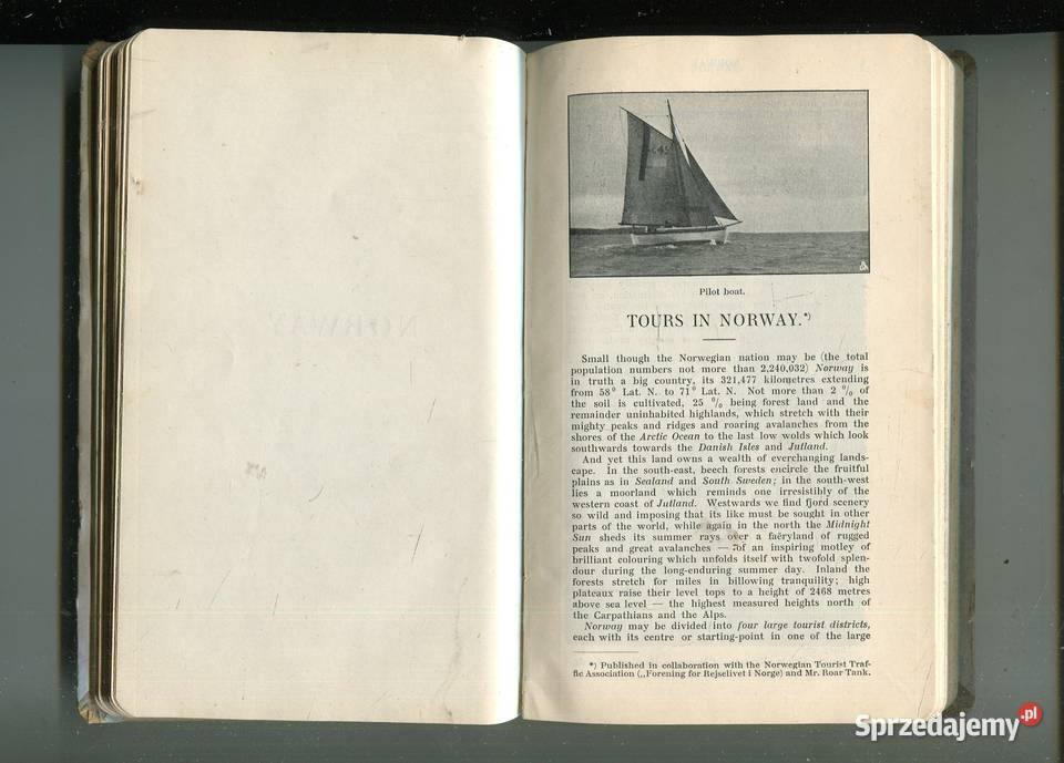 The Travellers Guide to the Scandinavian Szczecin