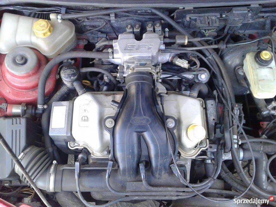 Sprzedam Forda Fieste XR2i radio mazowieckie Radom